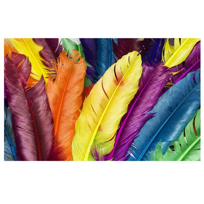 CloudShop Art Painting Canvas Print the-rainbow-feathers 70x100cm | 28x40 inches Canvas Print - With Wrap Frame 